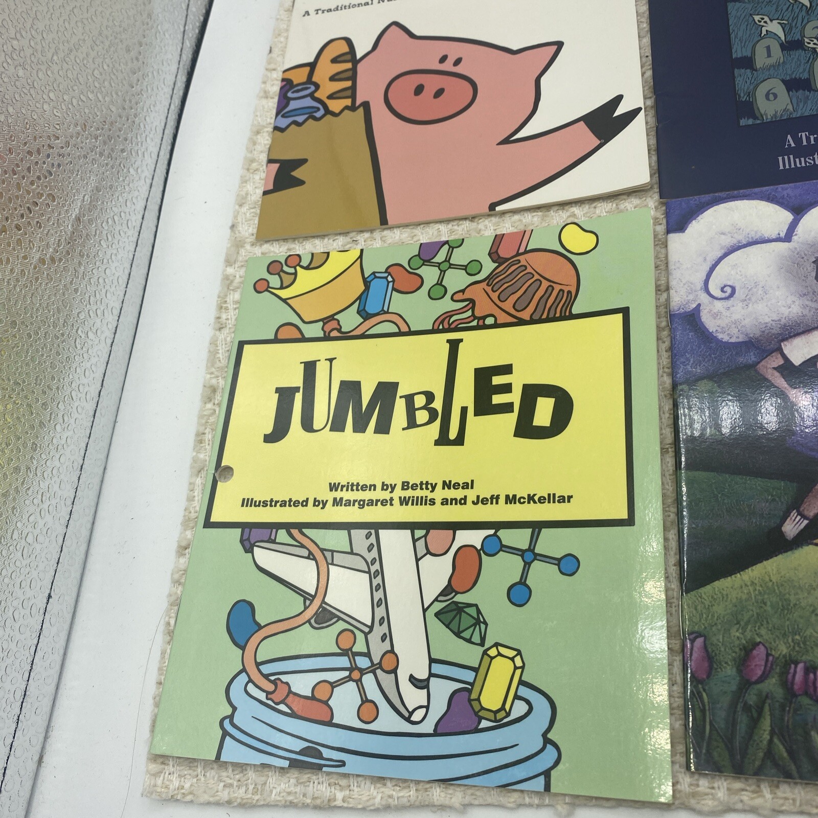 Collection of 6 Diverse Children’s Picture Books – Educational and Storytime Fun