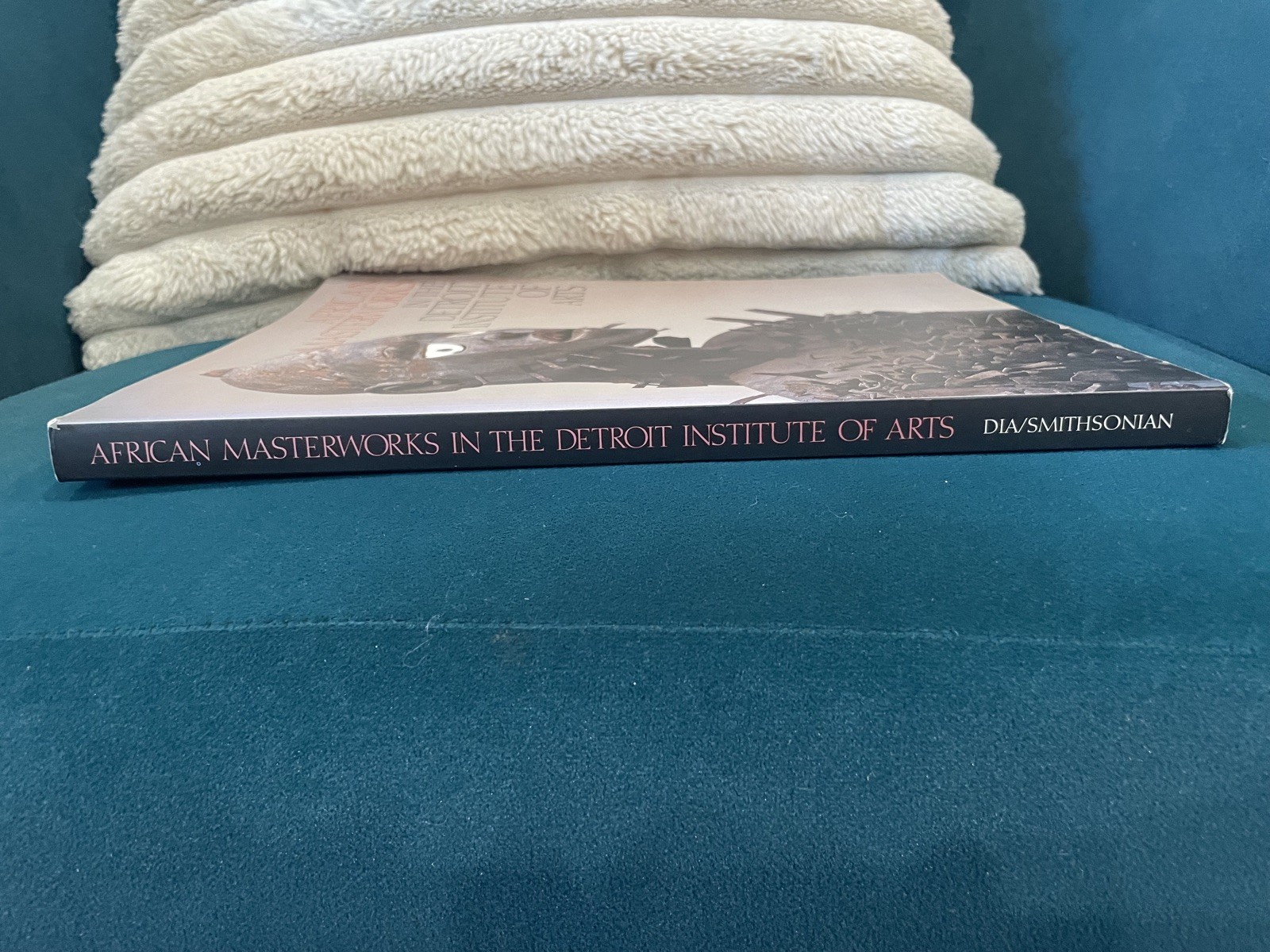 African Masterworks in the Detroit Institute of Arts by Michael Kan,Roy Sieber,