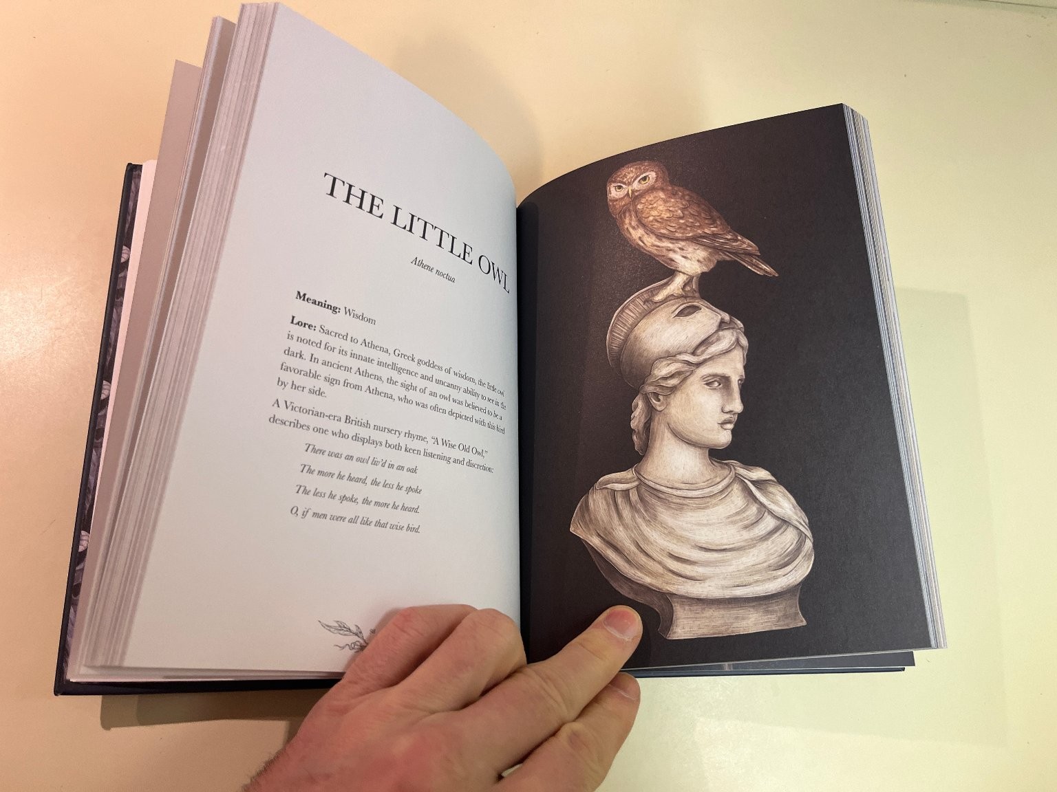Ornithography Illustrated Guide to Bird Lore & Symbolism, Jessica Roux Hardcover