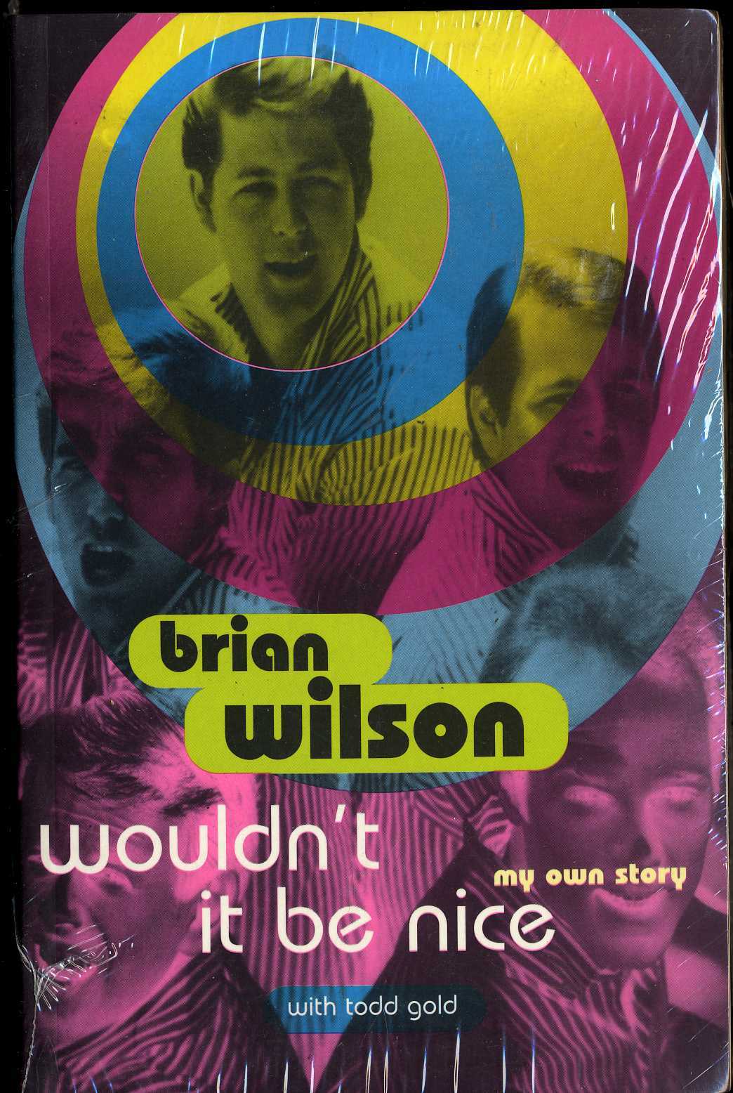 BRIAN WILSON – Wouldn’t It Be Nice – Todd Gold – Paperback 1996 Issue 398 Pages