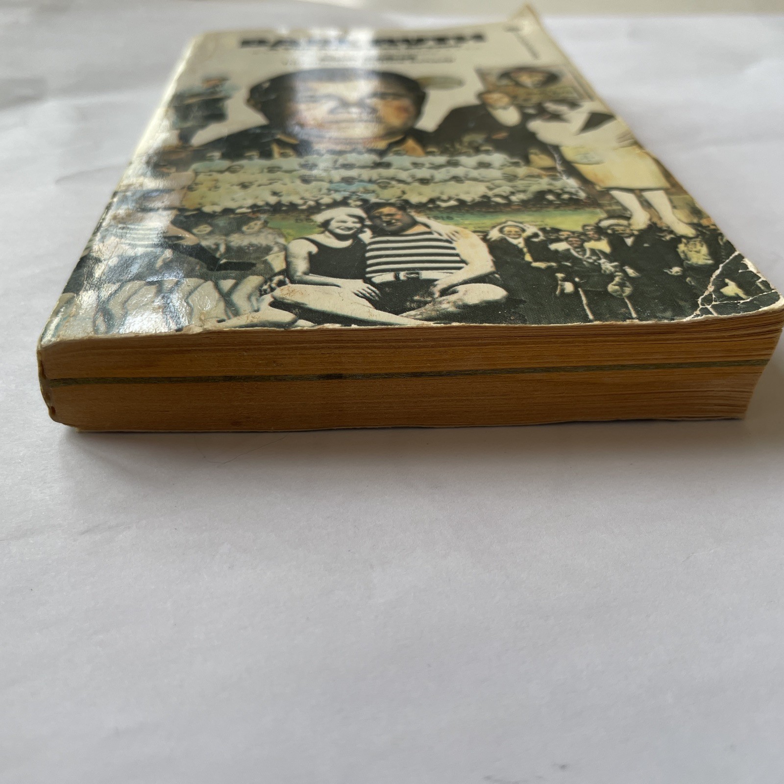 Babe Ruth & The American Dream (1974)Ken Sobol / Paperback – 269 Pages
