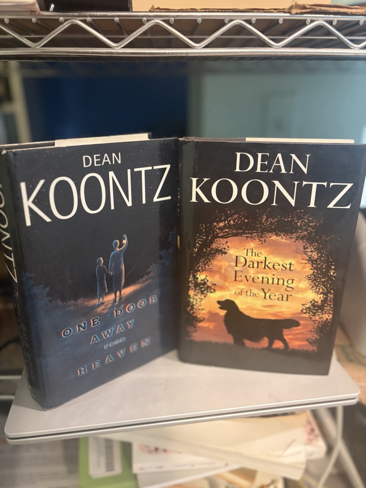 Dean Koontz Hardcovers, Lot of 2, VERY GOOD (976)