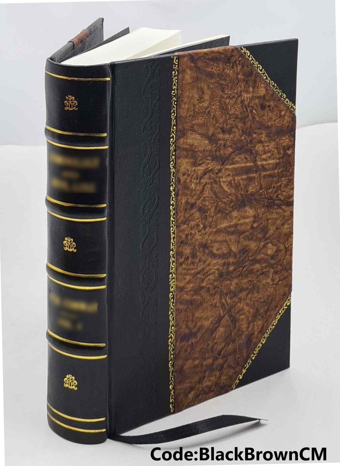 The Prophet of Nazareth or A critical inquiry into the prophetic [Leather Bound]