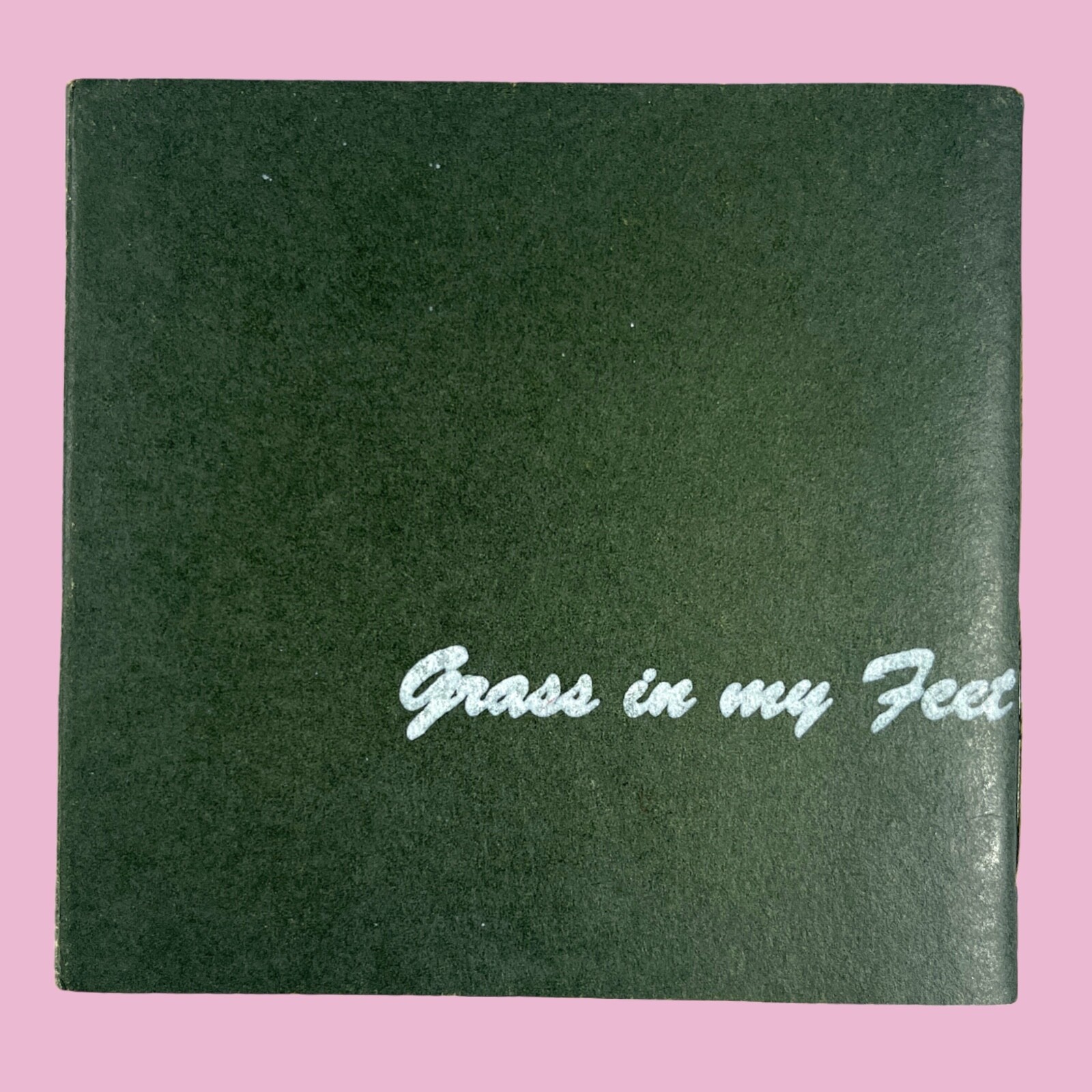 Amber Gayle- Mud In My Veins (1998) Evil Twin Publications Rare Zine See Photos