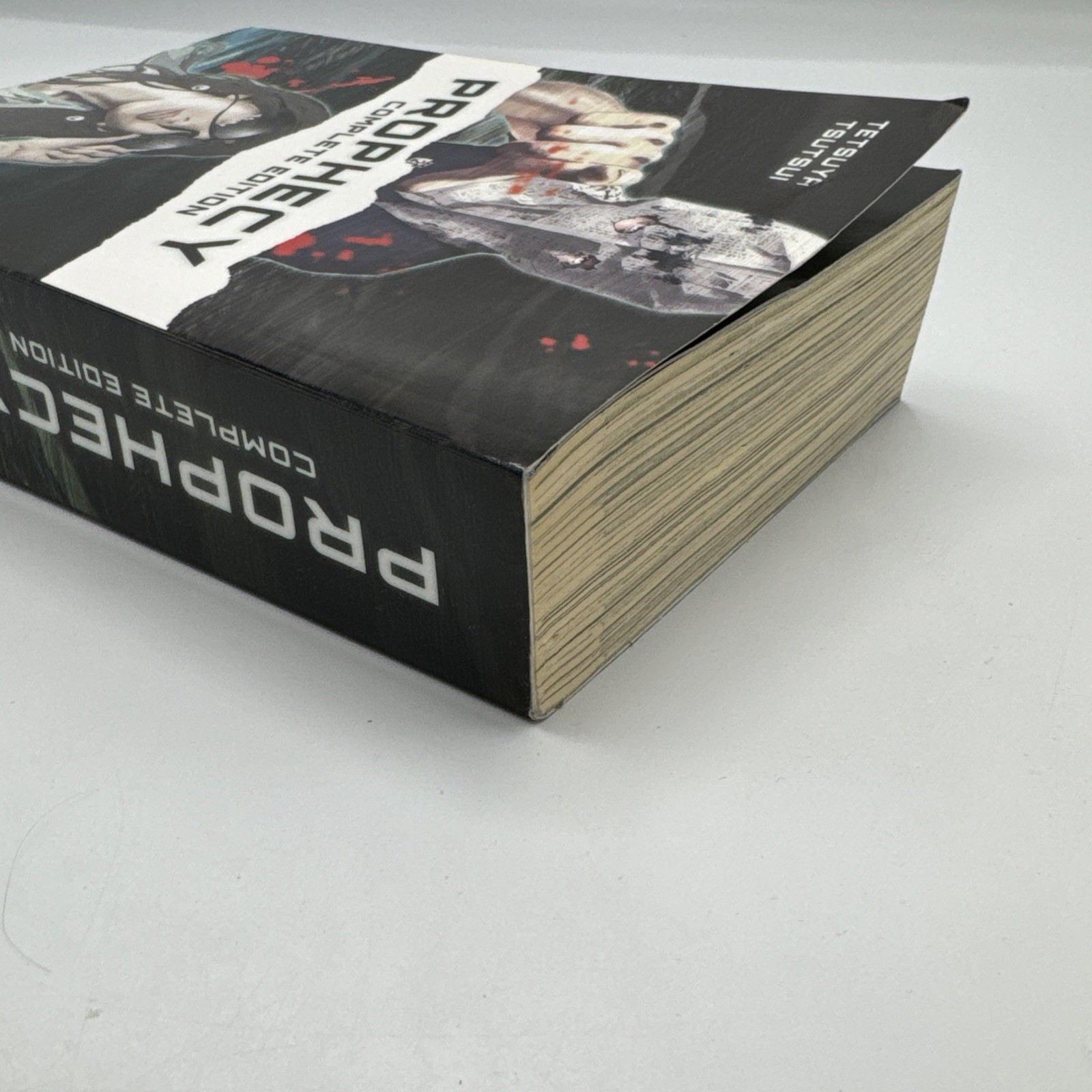 Prophecy: Complete Edition Omnibus by Tetsuya Tsutsui (English Manga)