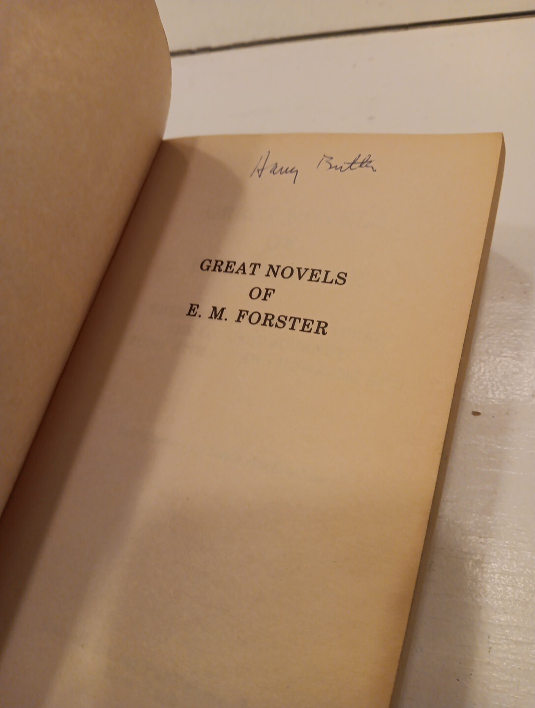 Great Novels of E. M. Forster Paperback E. M. Forster