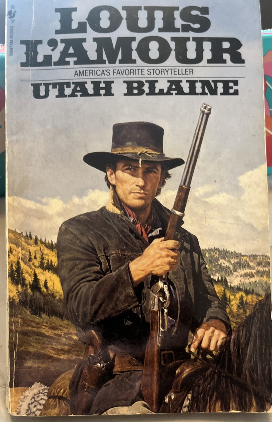 Lot Of 10 Vintage Western Paperback Books (See Photos For Titles)