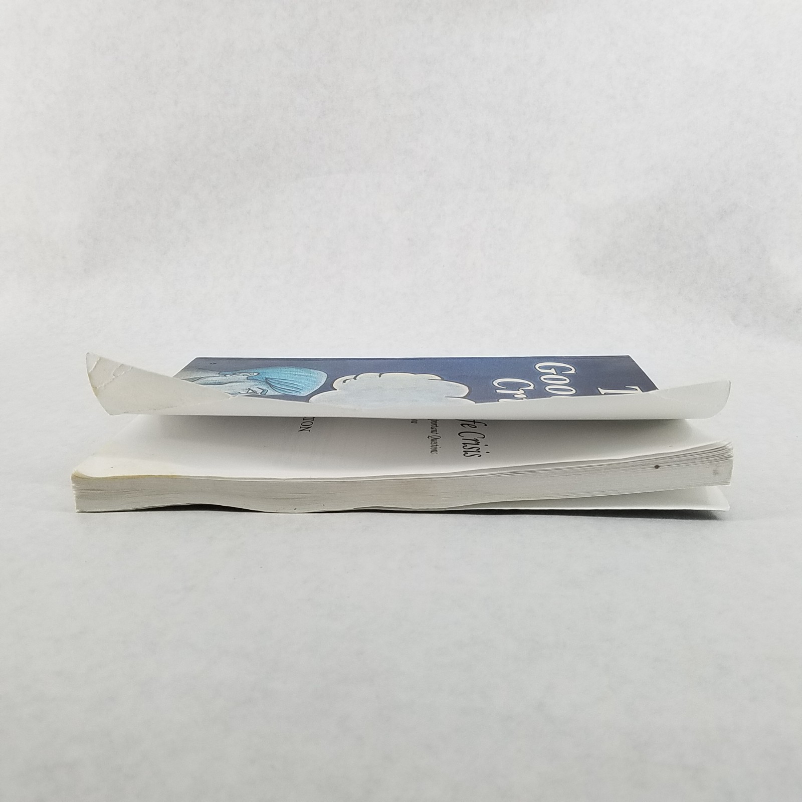 Good Life Crisis – Softcover by Nick Shelton – NO MARKS