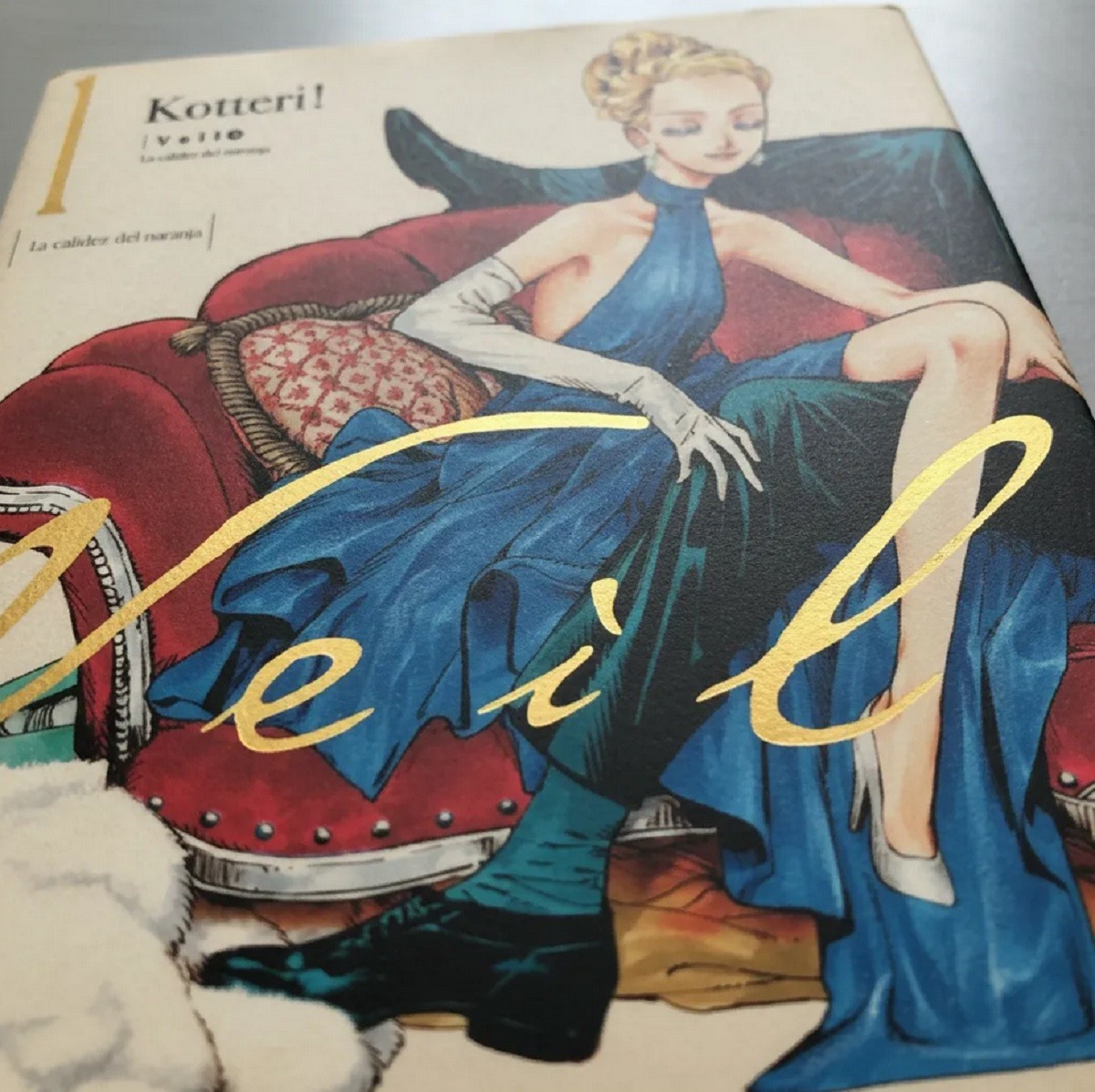 LIBRO VEIL Nº 01 (SPANISH EDITION)