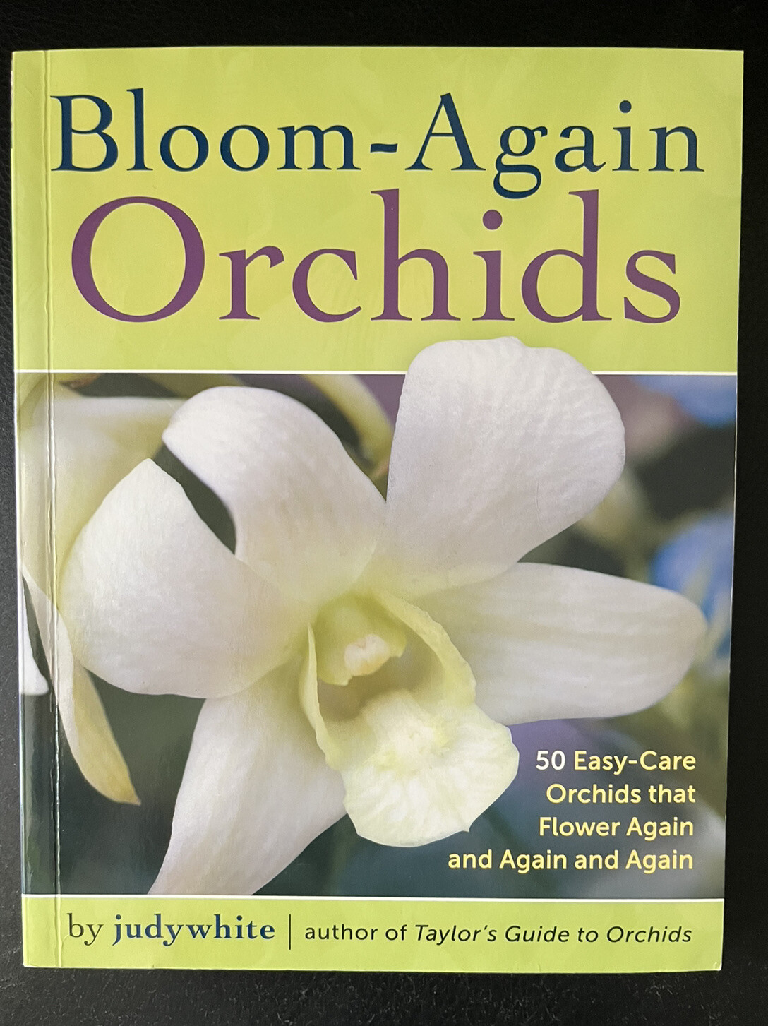 Bloom-Again Orchids by Judy White