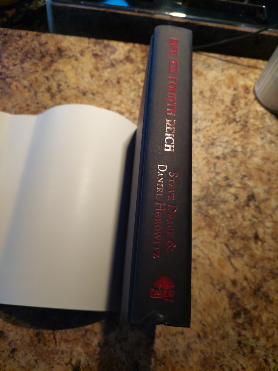 Rise of the Fourth Reich by Steve Deace and Daniel Horowitz