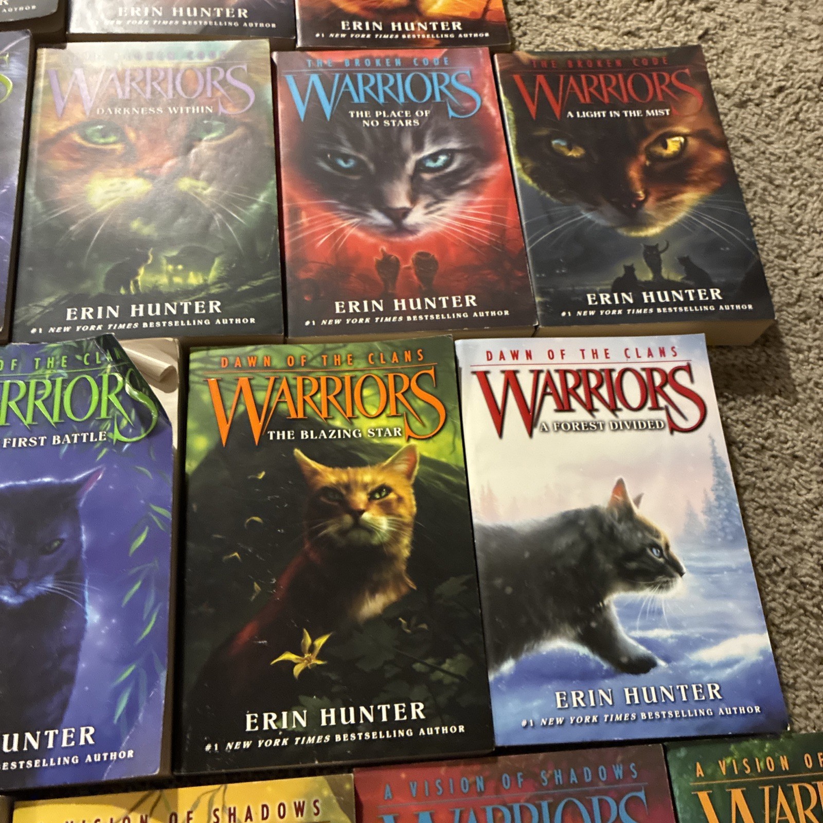 Lot of 21 Different WARRIORS Books by Erin Hunter ALL PAPERBACKS
