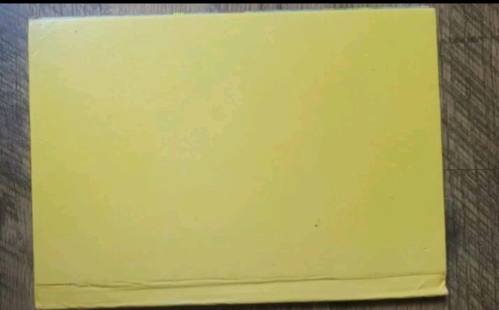 Vintage 1986 Walt Disney’s Donald Duck Buys A House Child Book Great Binding