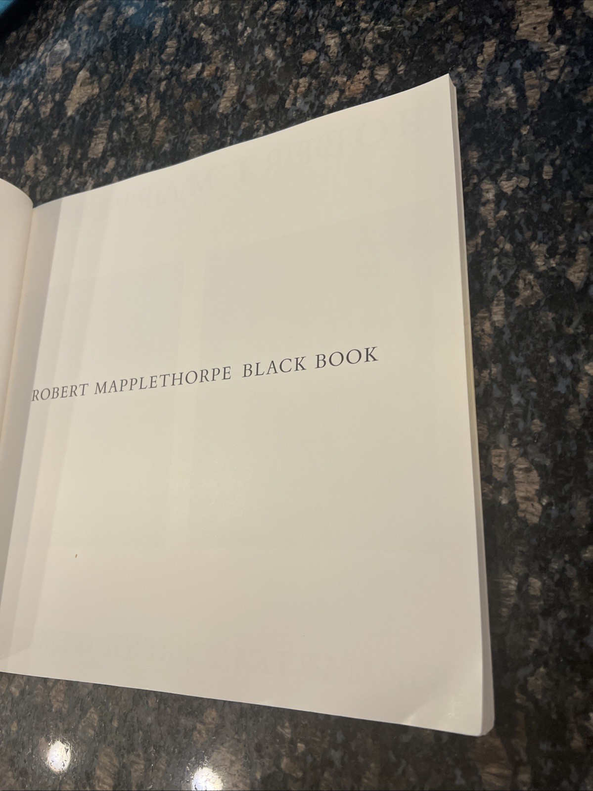 Black Book by Robert Mapplethorpe St. Martin’s Press Paperback 1986