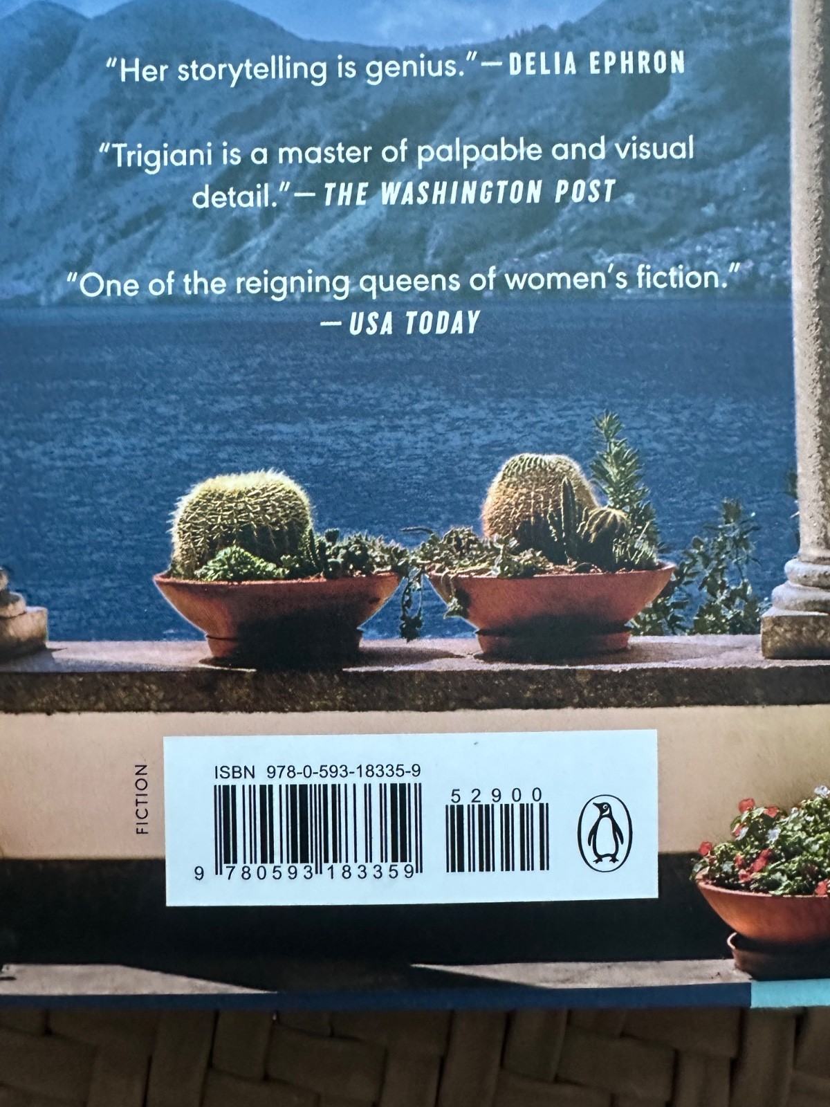 The View from Lake Como by Adriana Trigiani (2025, Hardcover). Like new