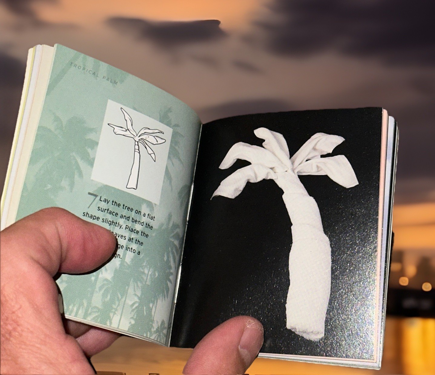 THE LITTLE BOOK OF TOWEL ORIGAMI By Alison Jenkins *Excellent Condition*