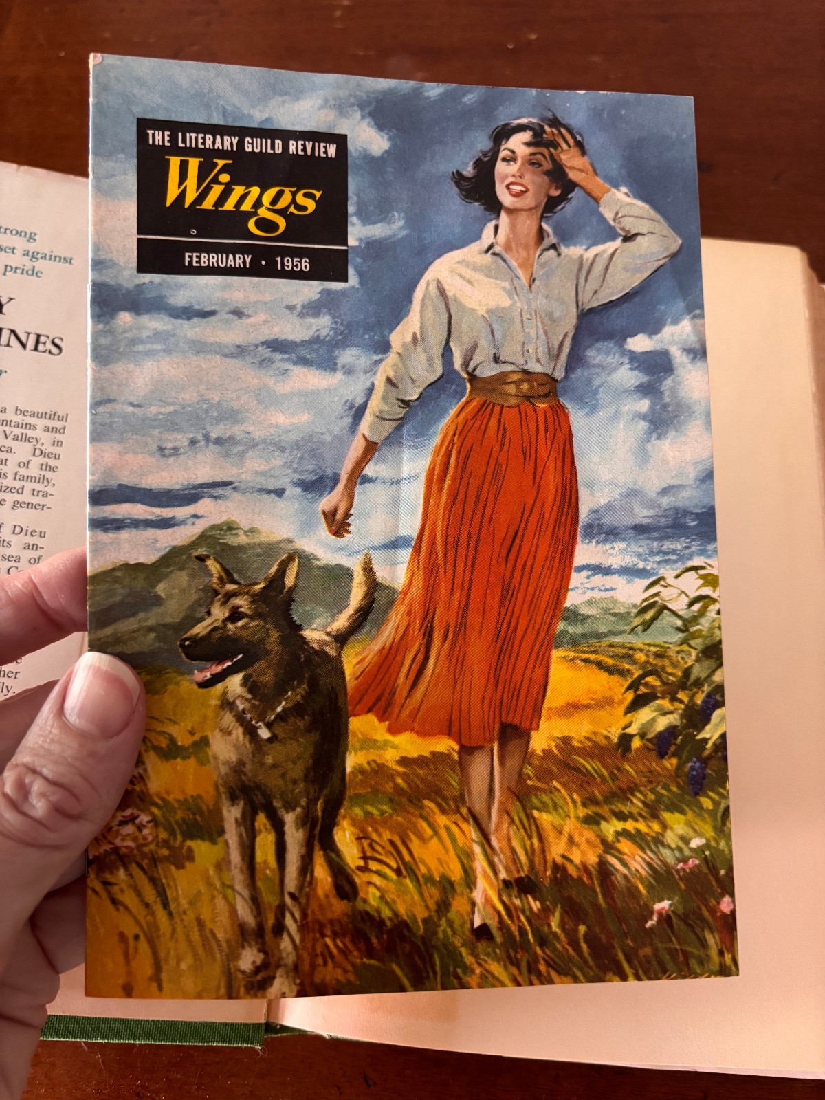 Vintage Hardcover Novel Lot 5 Books 1950s-60s Dust Jackets Pearl Buck Niven Busc