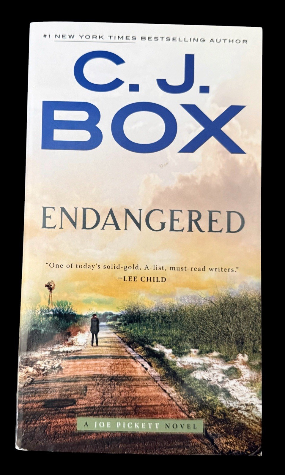 10 PB Bundle: Ten Joe Pickett Novels by C. J. Box 2003-2019 Putnam