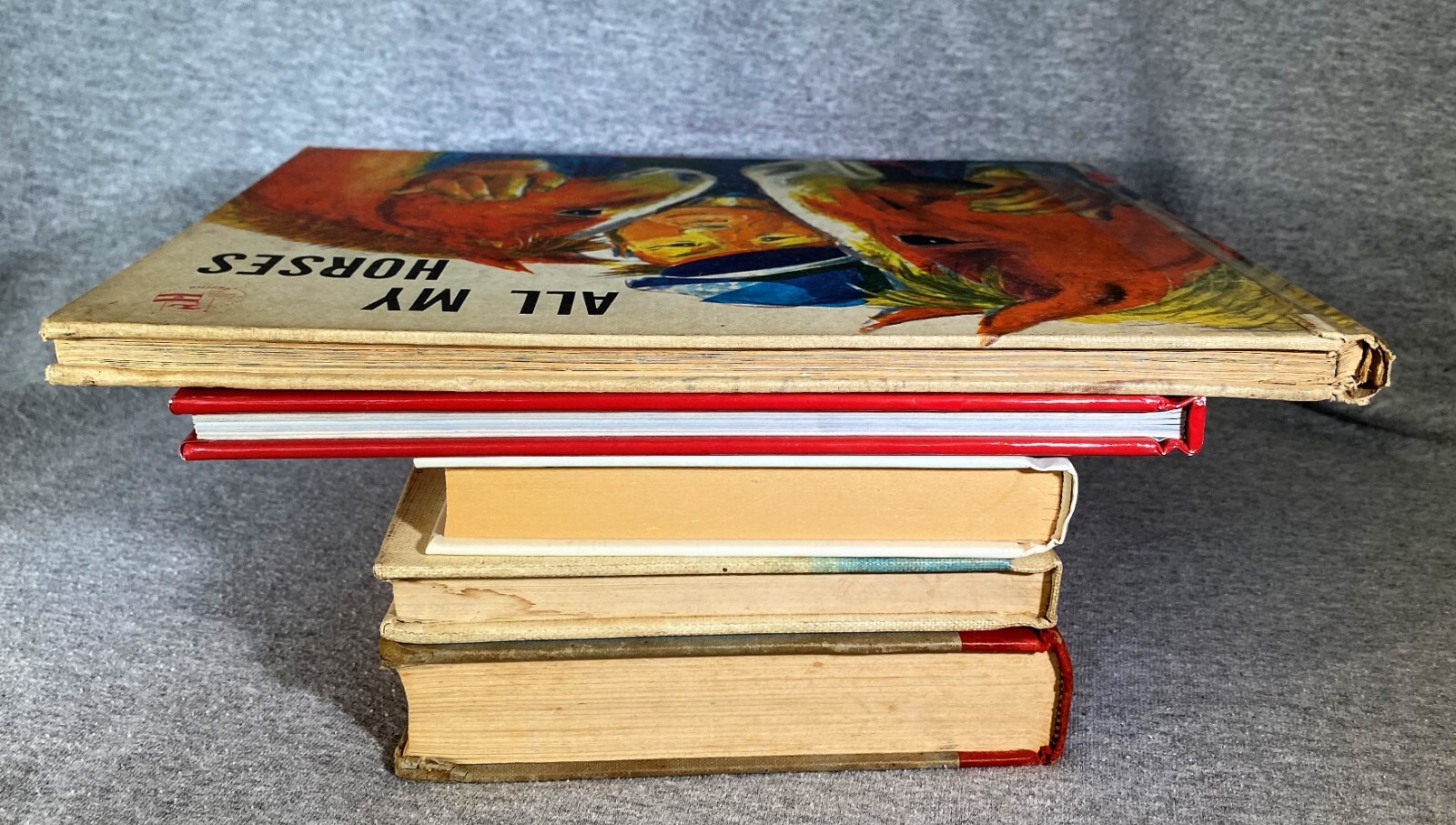 Horse Equestrian Books 29 in Lot 5HC & 24PB Chapter Picture Riding Veterinarian