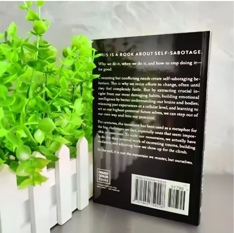 THE MOUNTAIN IS YOU BY BRIANNA WIEST PAPERBACK FREE SHIPPING