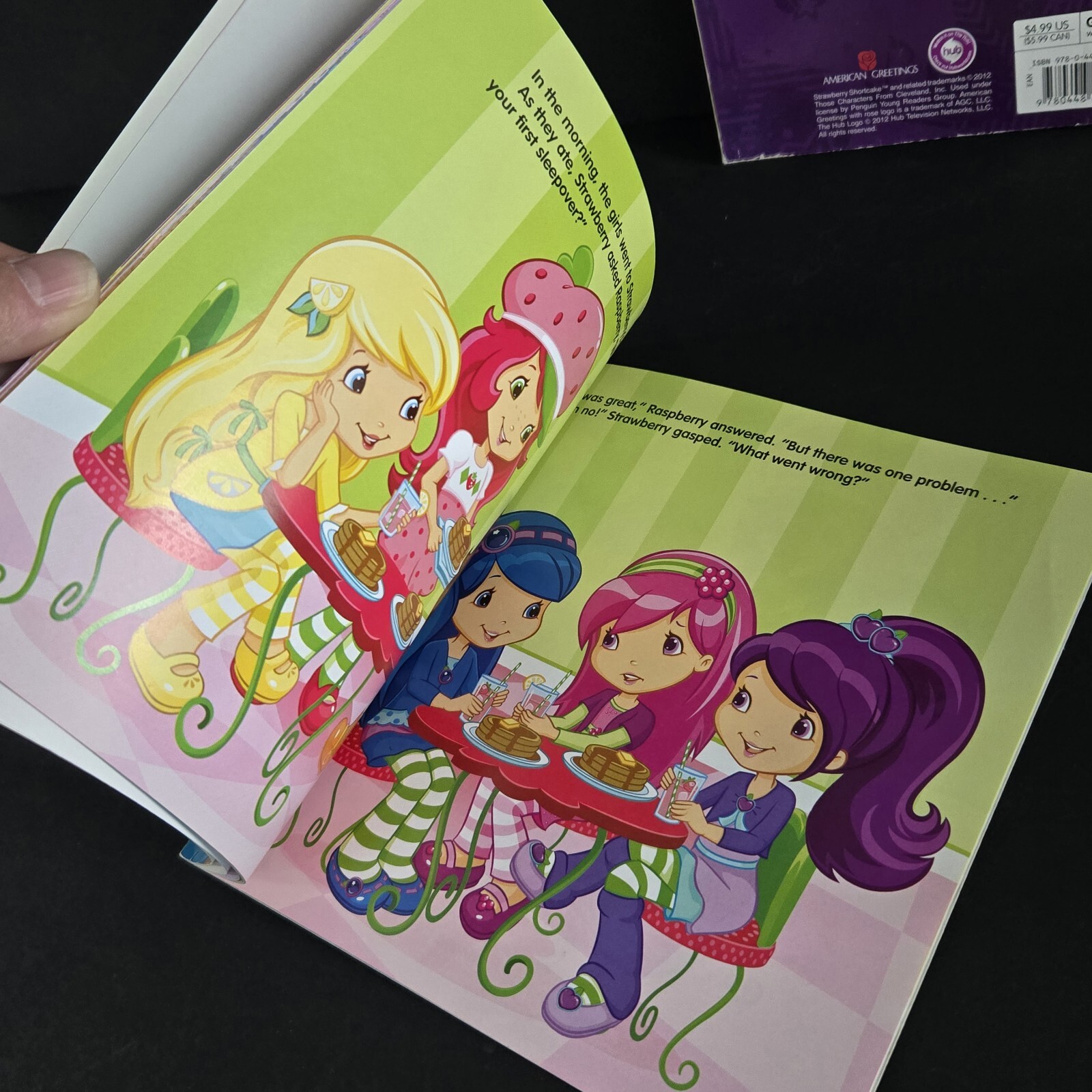 Lot Of 2 Strawberry Shortcake Books From 2010’s