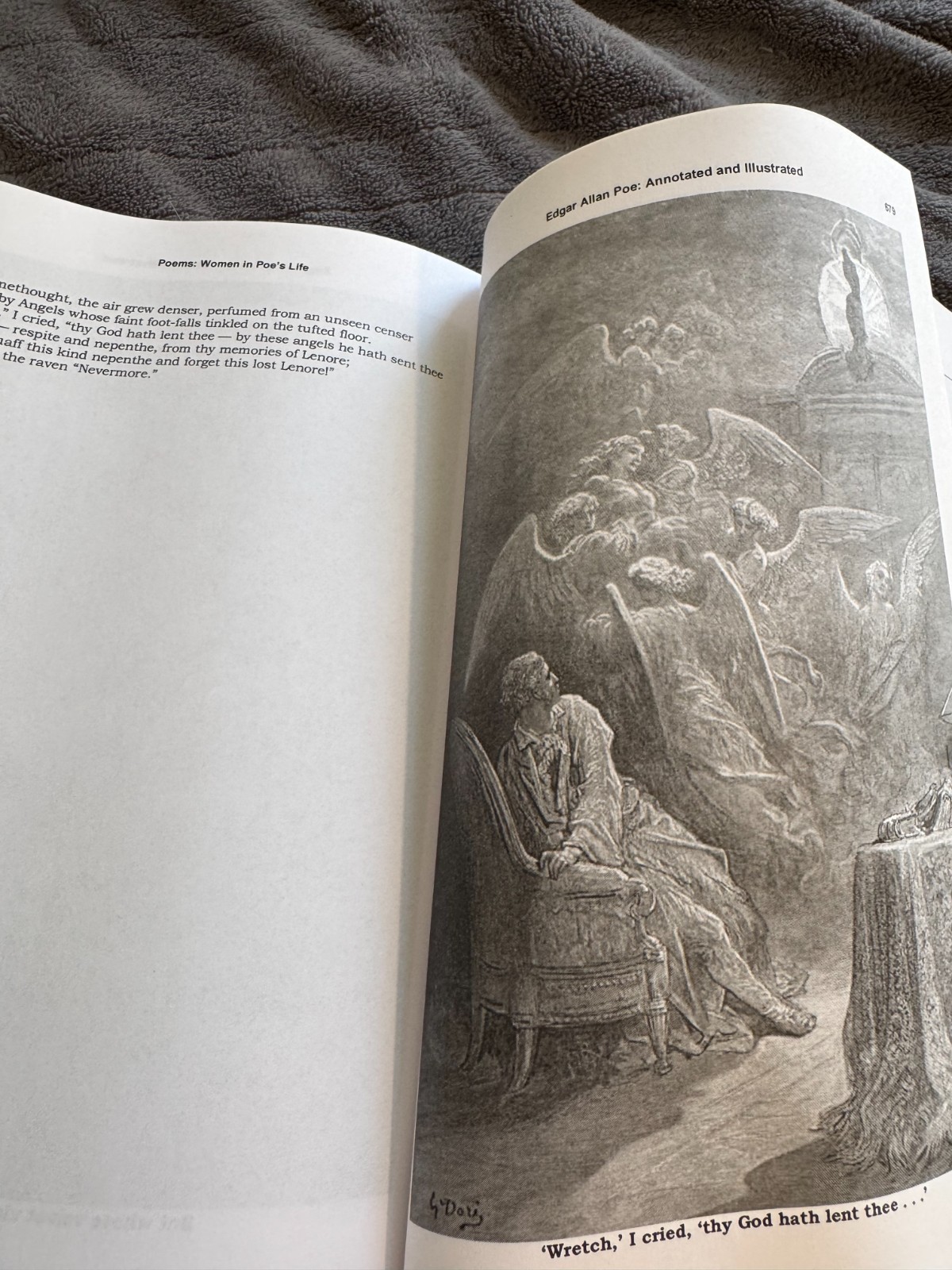 Edgar Allan Poe Illustrated Entire Stories & Poems Paperback Book 824 Pages
