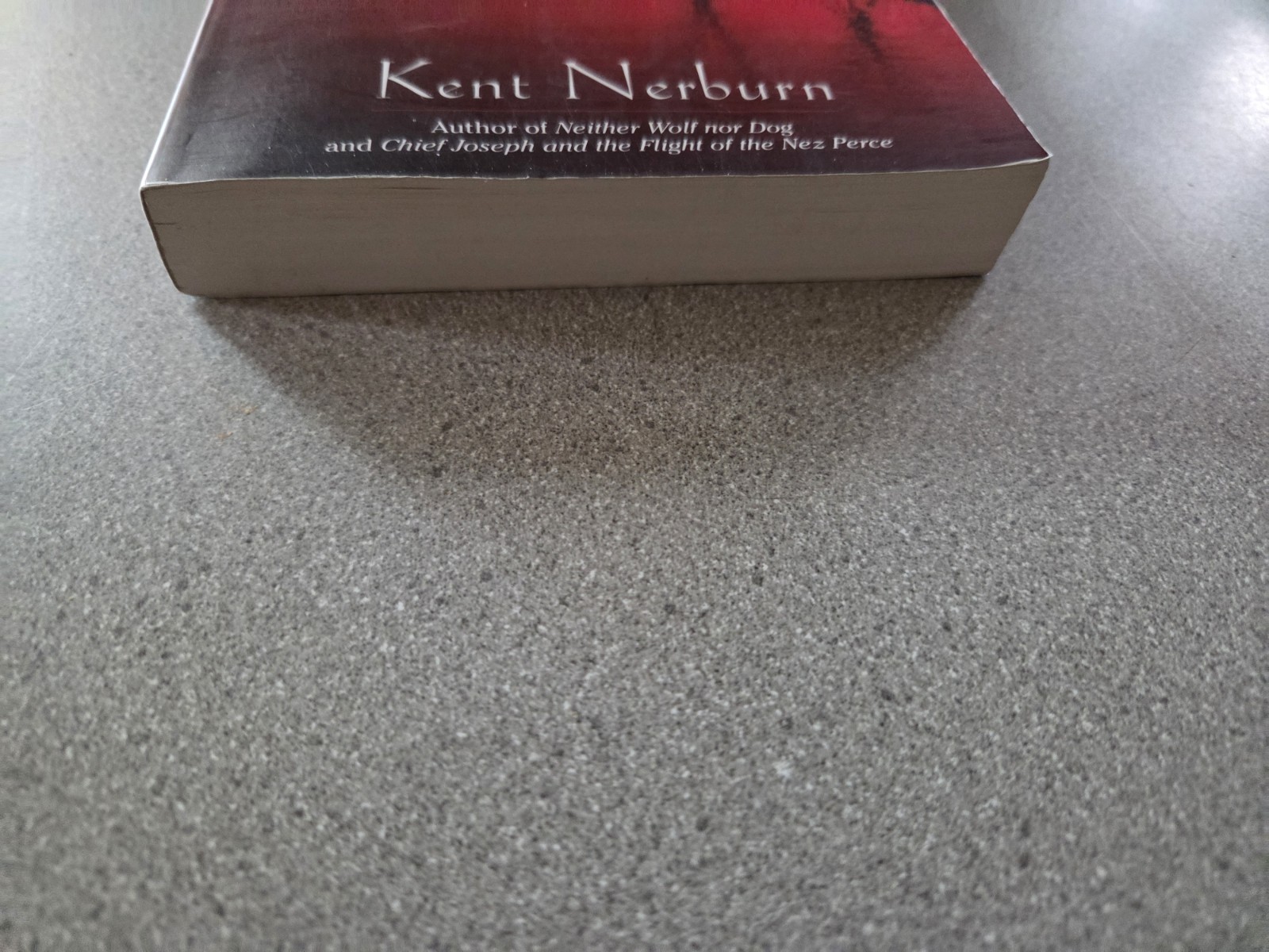Wolf at Twilight Kent Nerburn Trade PB New World Library 2009 Literary Mystery
