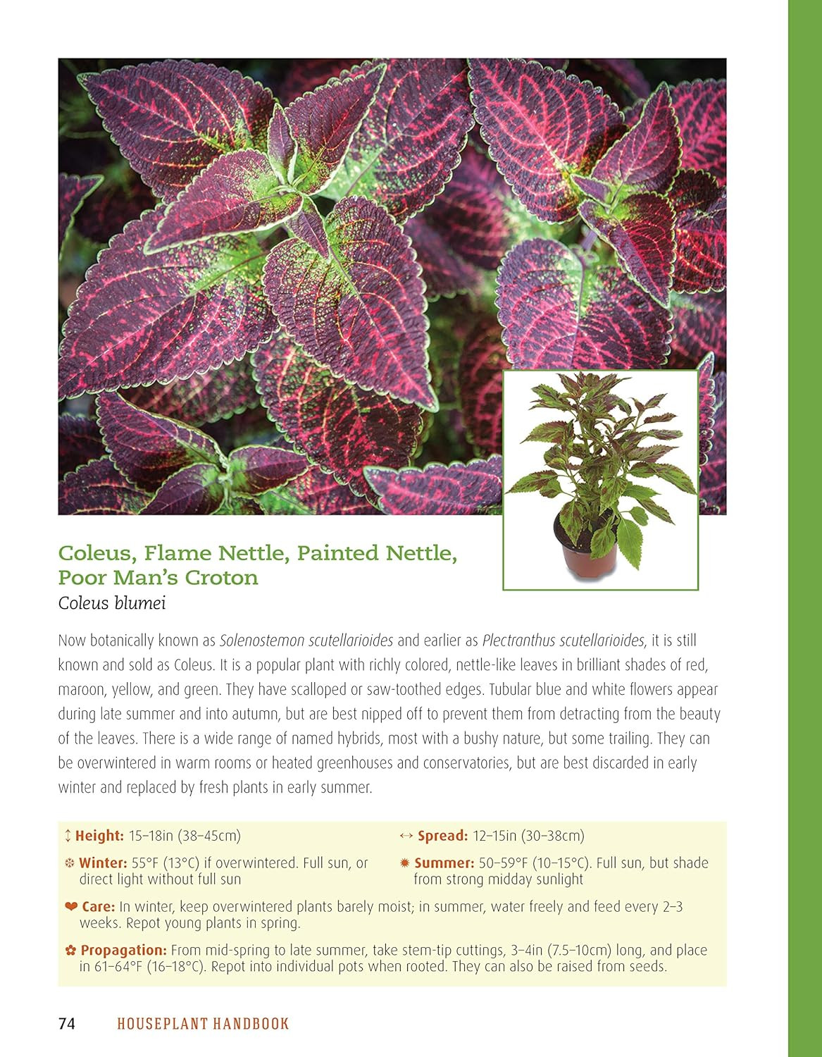 Houseplant Handbook: Basic Growing Techniques and a Directory of 300 Everyday Ho