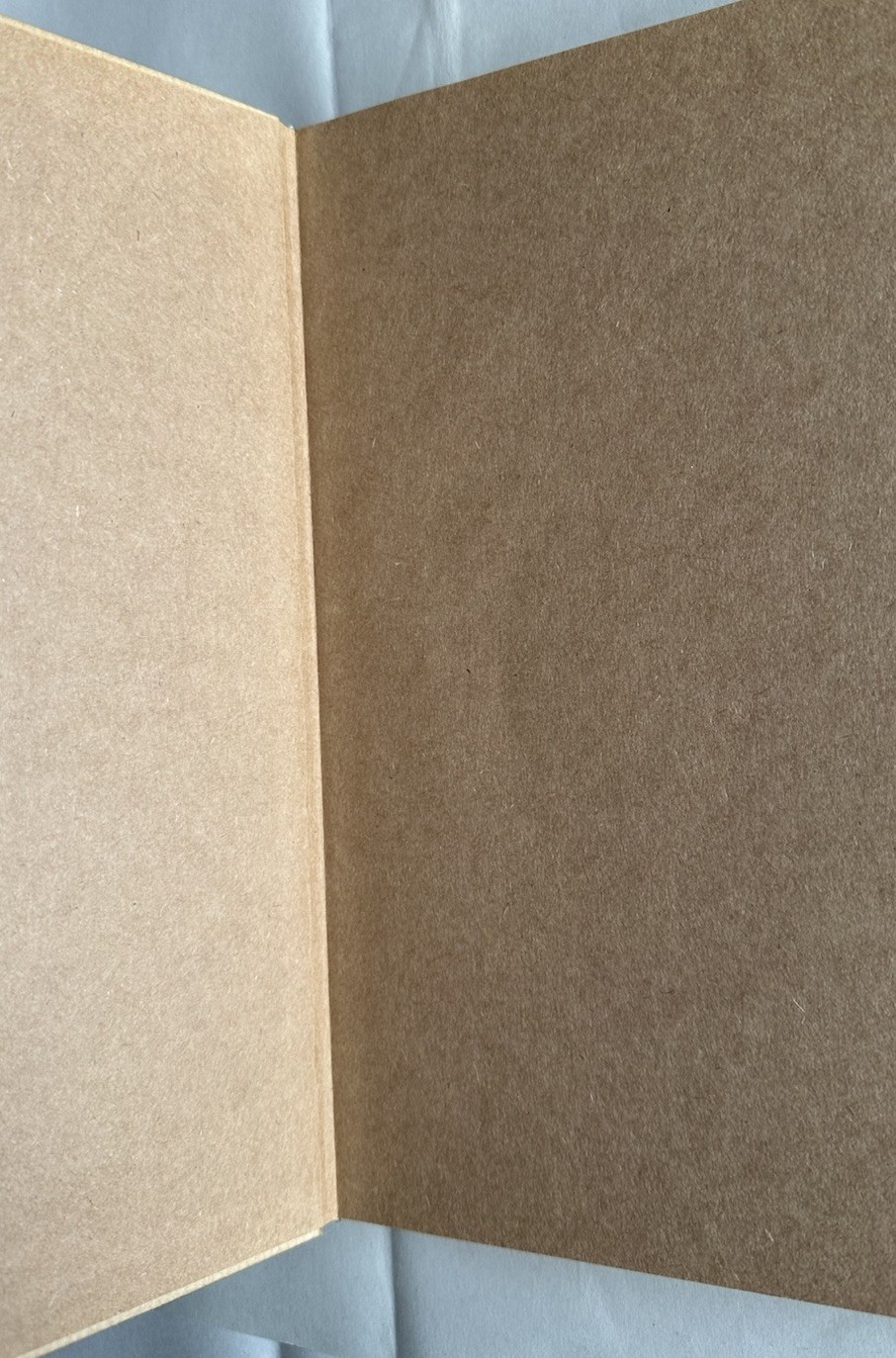 Tim Hawkinson HC Museum Exhibition Catalogue 2005 Abrams Absurdist Post Modern