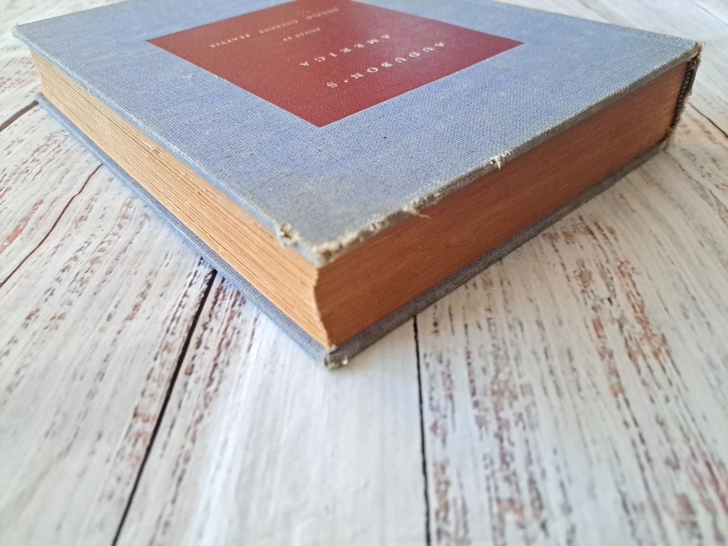Audubon’s America, Donald Culross Peattie 1940, 328 page HC