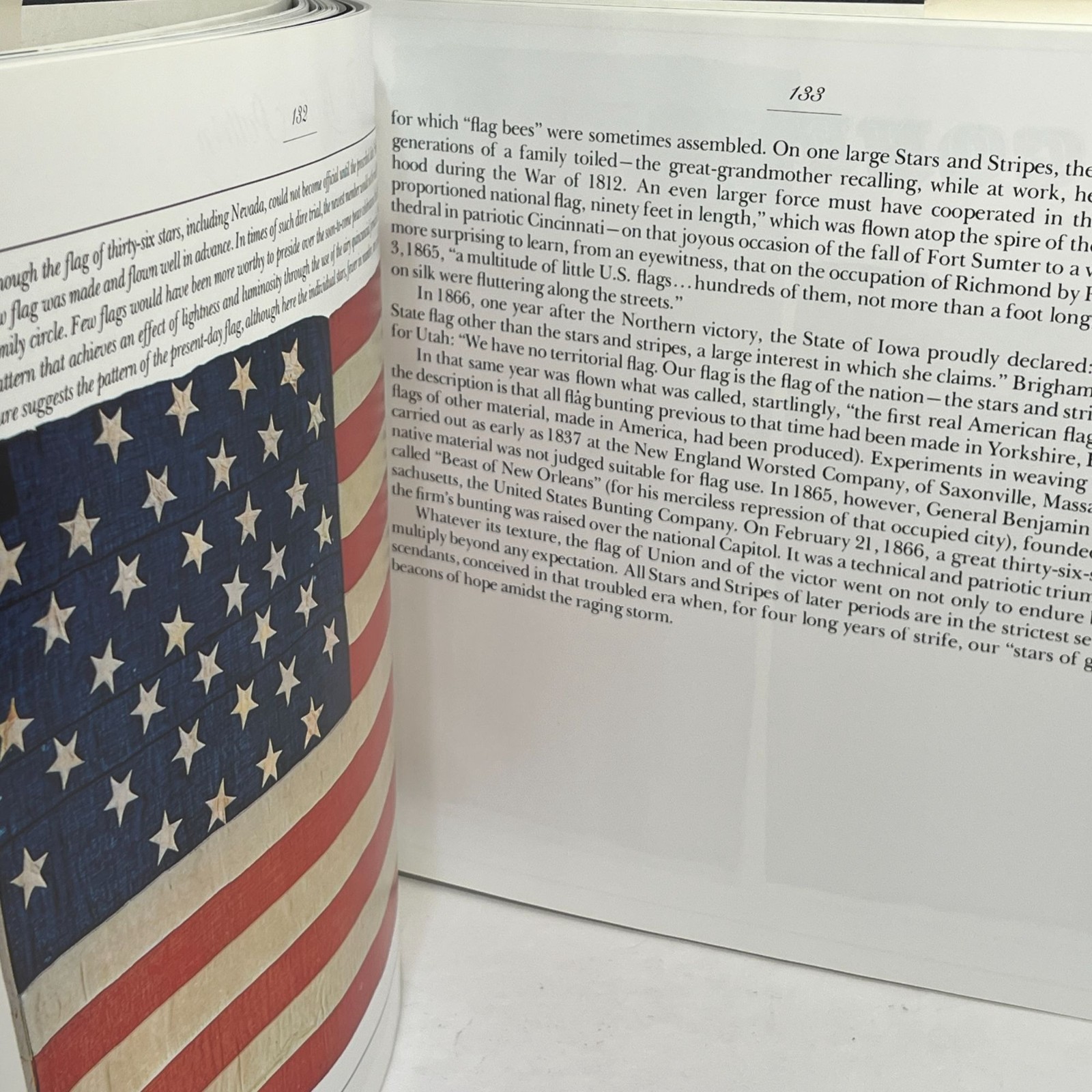 The Stars and the Stripes The American Flag as Art and History