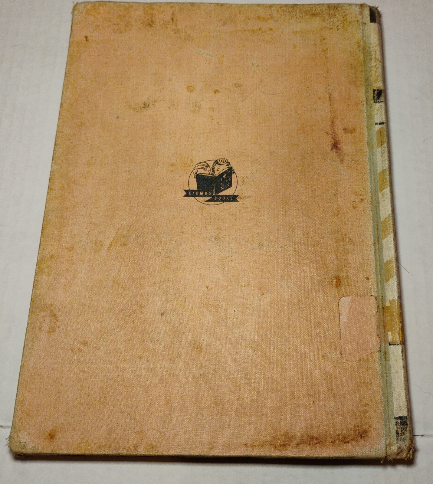 Vintage Mop Top by Don Freeman 1955 Children’s Picture Book Cadmus Ed