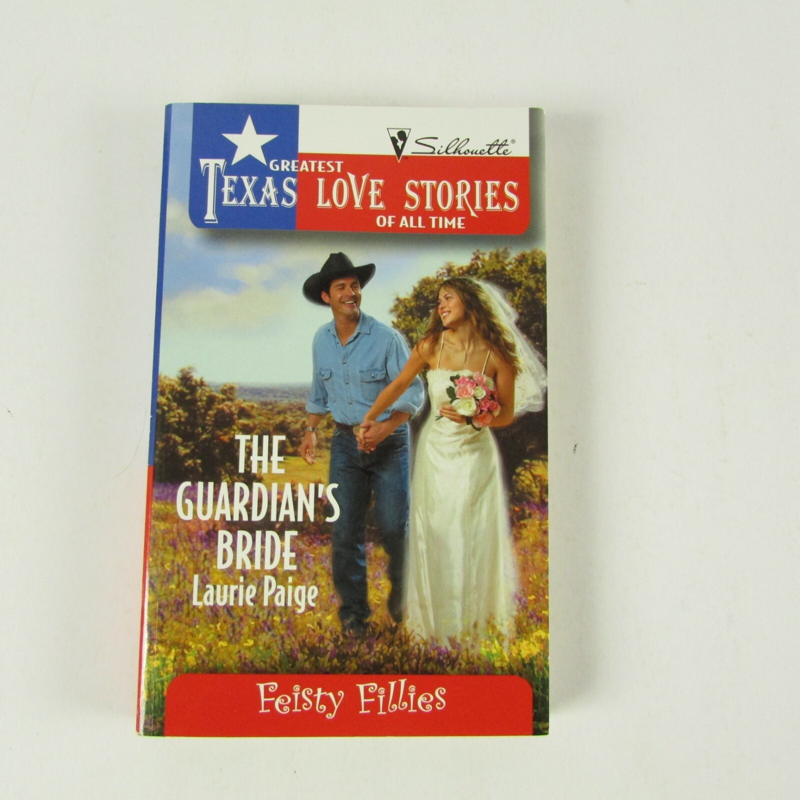 Lot of 6 Vintage Texas Love Stories Feisty Fillies Paperback Books