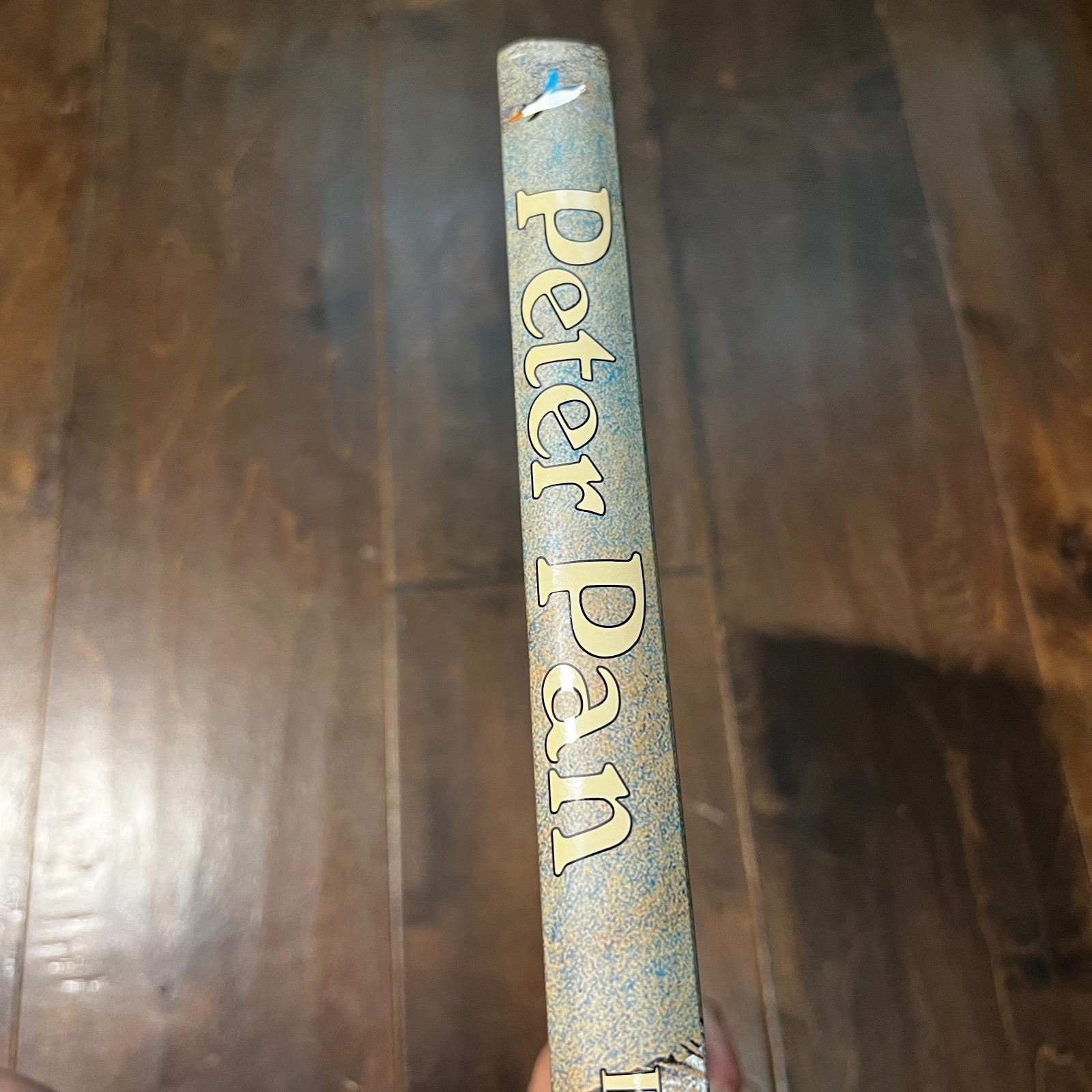 PETER PAN By Regis Loisel 2014 Hardcover Graphic Novel Book French English