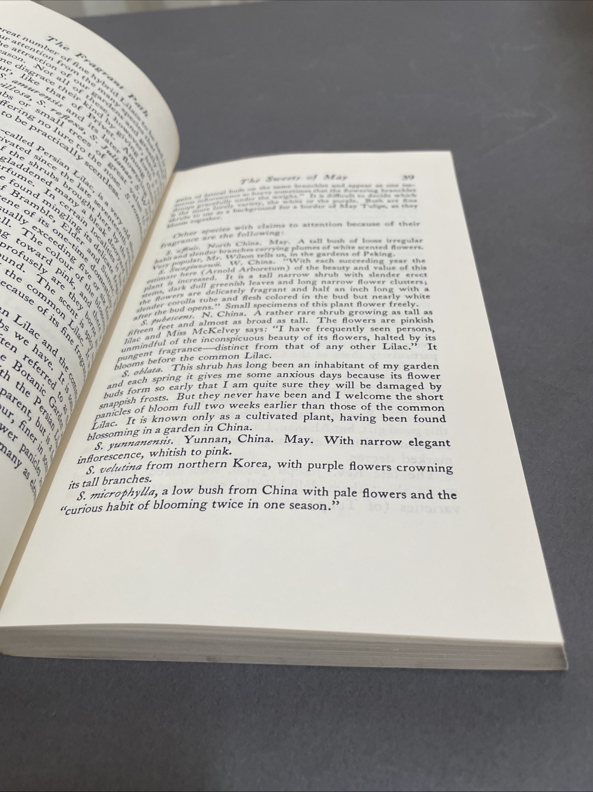 The Fragrant Garden,Louise Beebe Wilder Pb Dover 1974