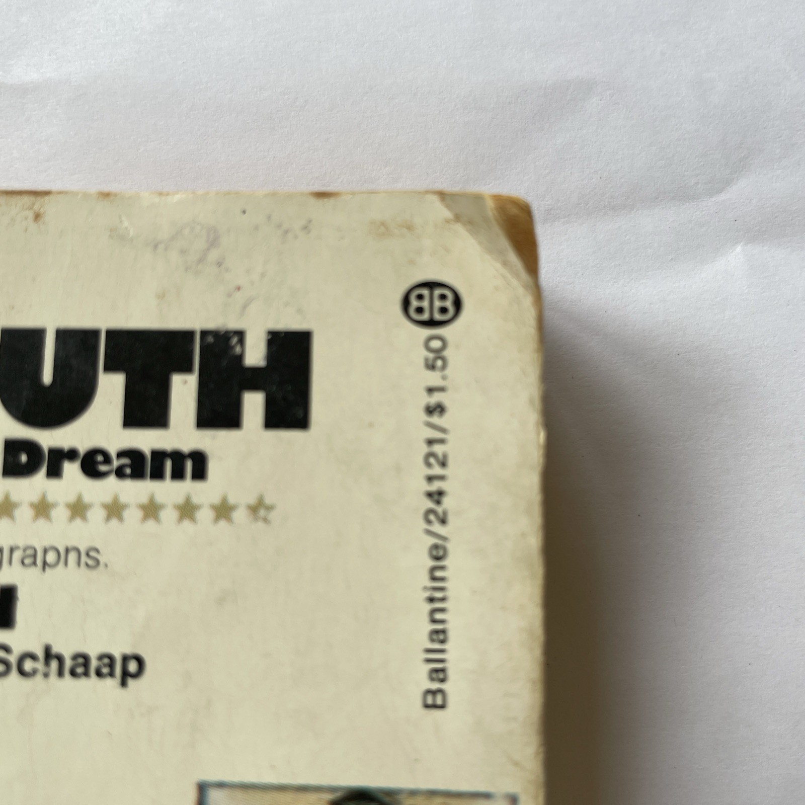 Babe Ruth & The American Dream (1974)Ken Sobol / Paperback – 269 Pages