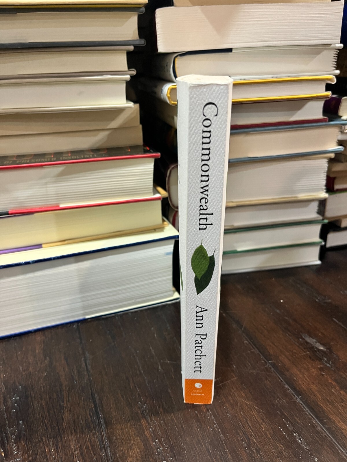 Brand New COMMONWEALTH by Ann Patchett Paperback