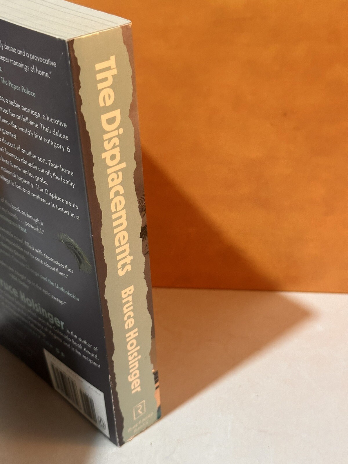 The Displacements : A Novel Hardcover Bruce Holsinger