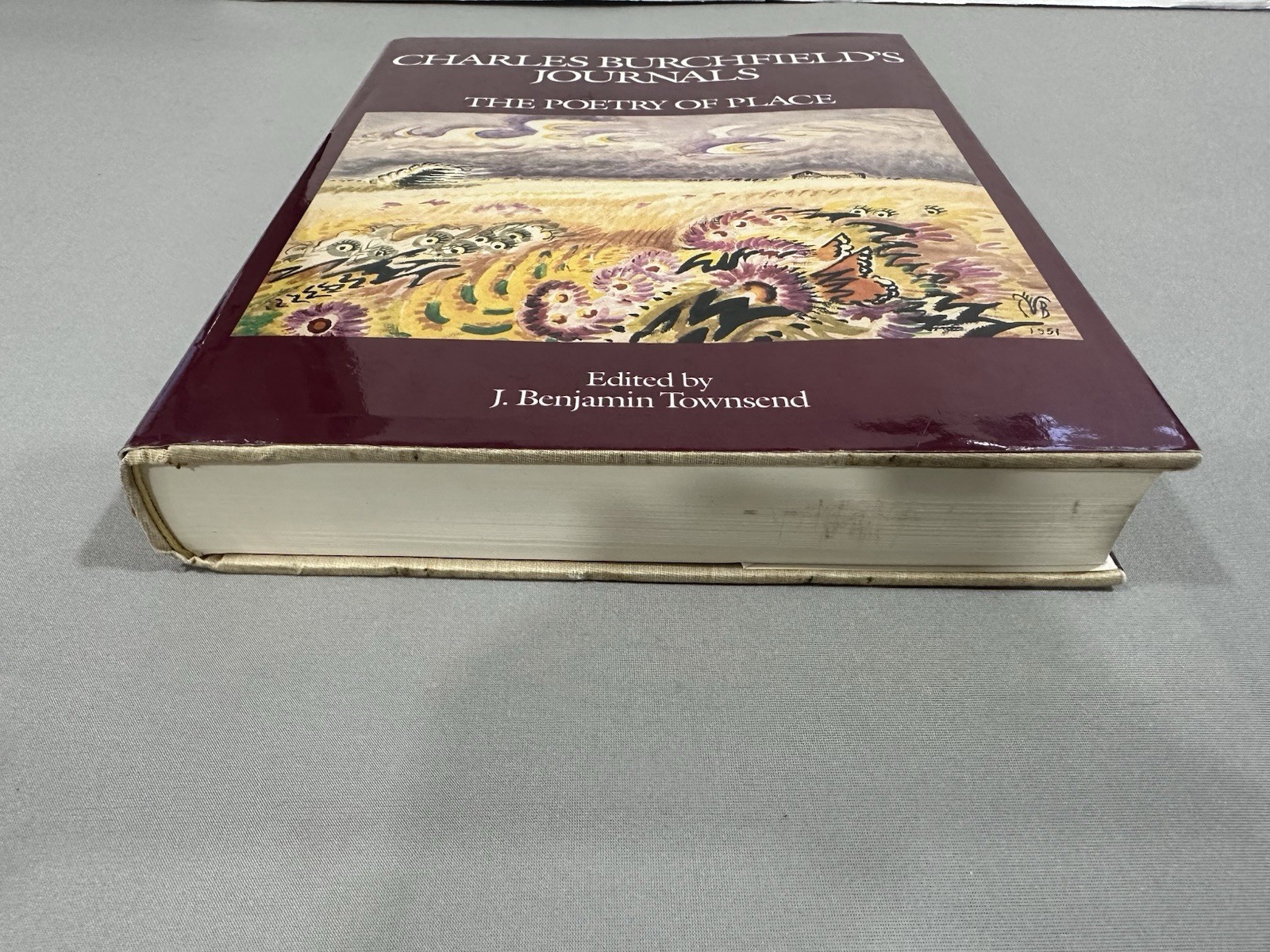 Charles Burchfield’s Journals The Poetry of Place by Charles Burchfield 1992