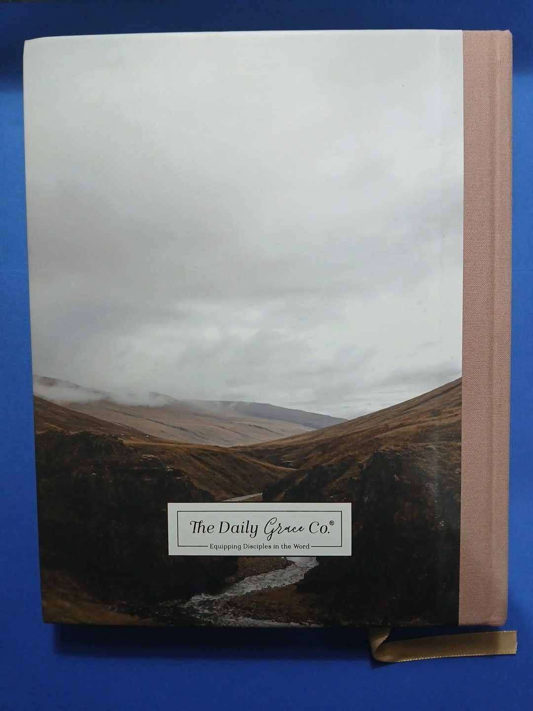The Bible Handbook The Daily Grace Co. Hardcover Book Pink Gray