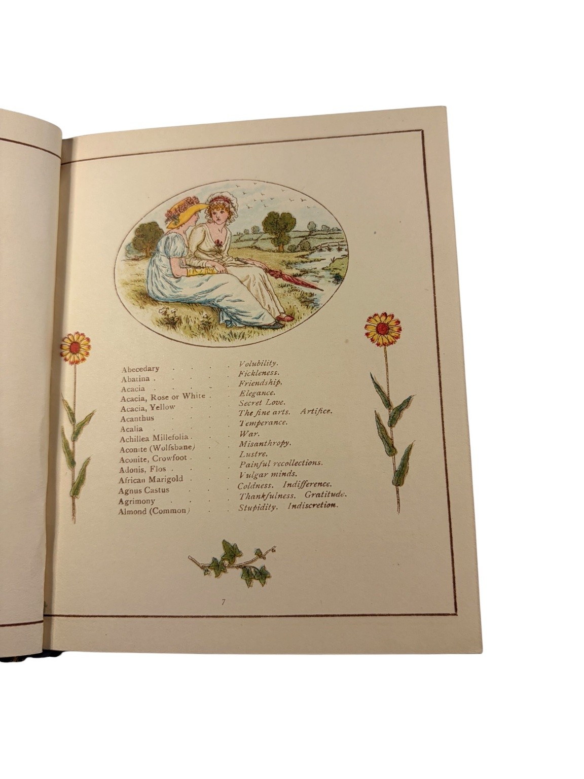 Language of Flowers Kate Greenaway Illustrated Frederick Warne Victorian Book