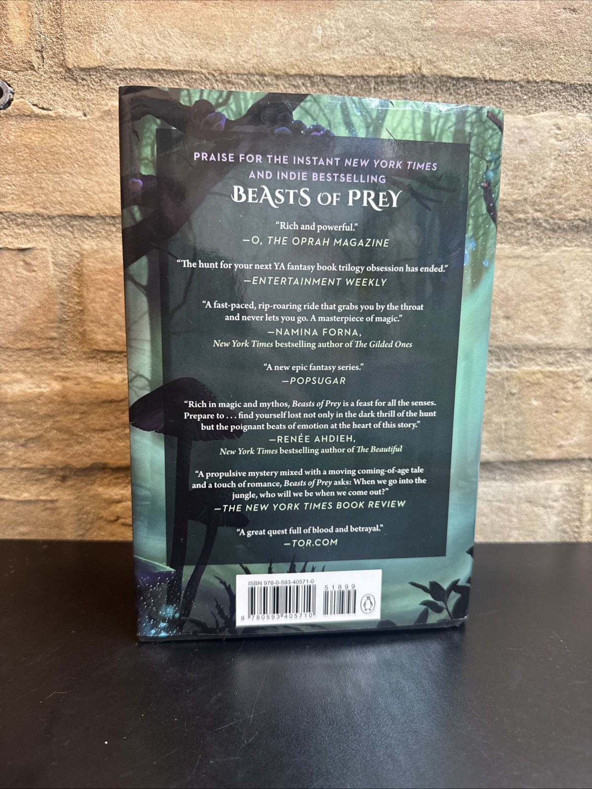 Beasts of Ruin by Ayana Gray (2022, Hardcover)