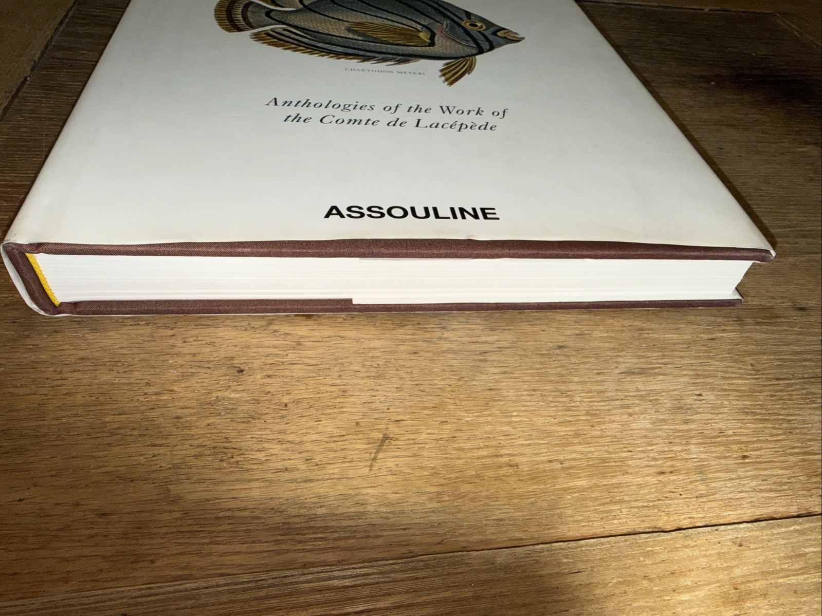 Lost Fish: Anthologies of the Work of the Comte De Lacepede (Trade) – VERY GOOD+