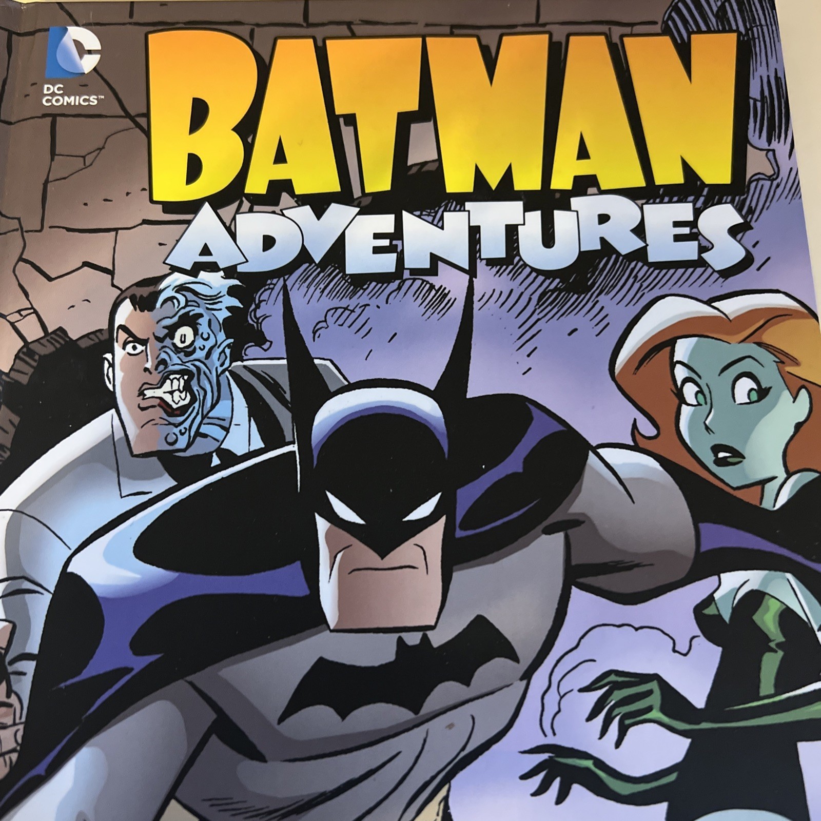 No Asylum (Batman Adventures, 1) – library Templeton, Beatty, Dan|Burchett…