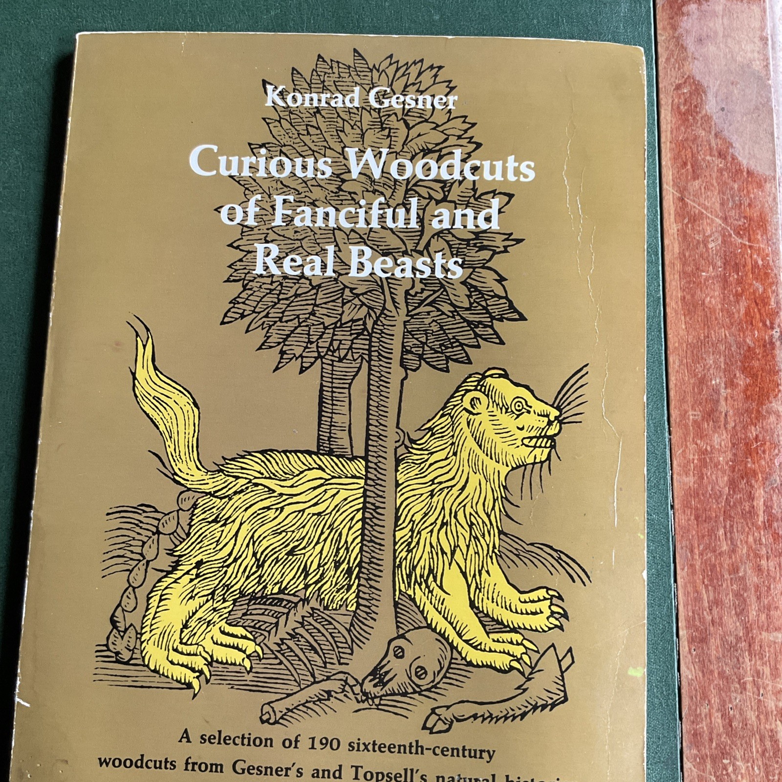 Curious Woodcuts of Fanciful and Real Beasts: A Selection of 19O Sixteenth-C…