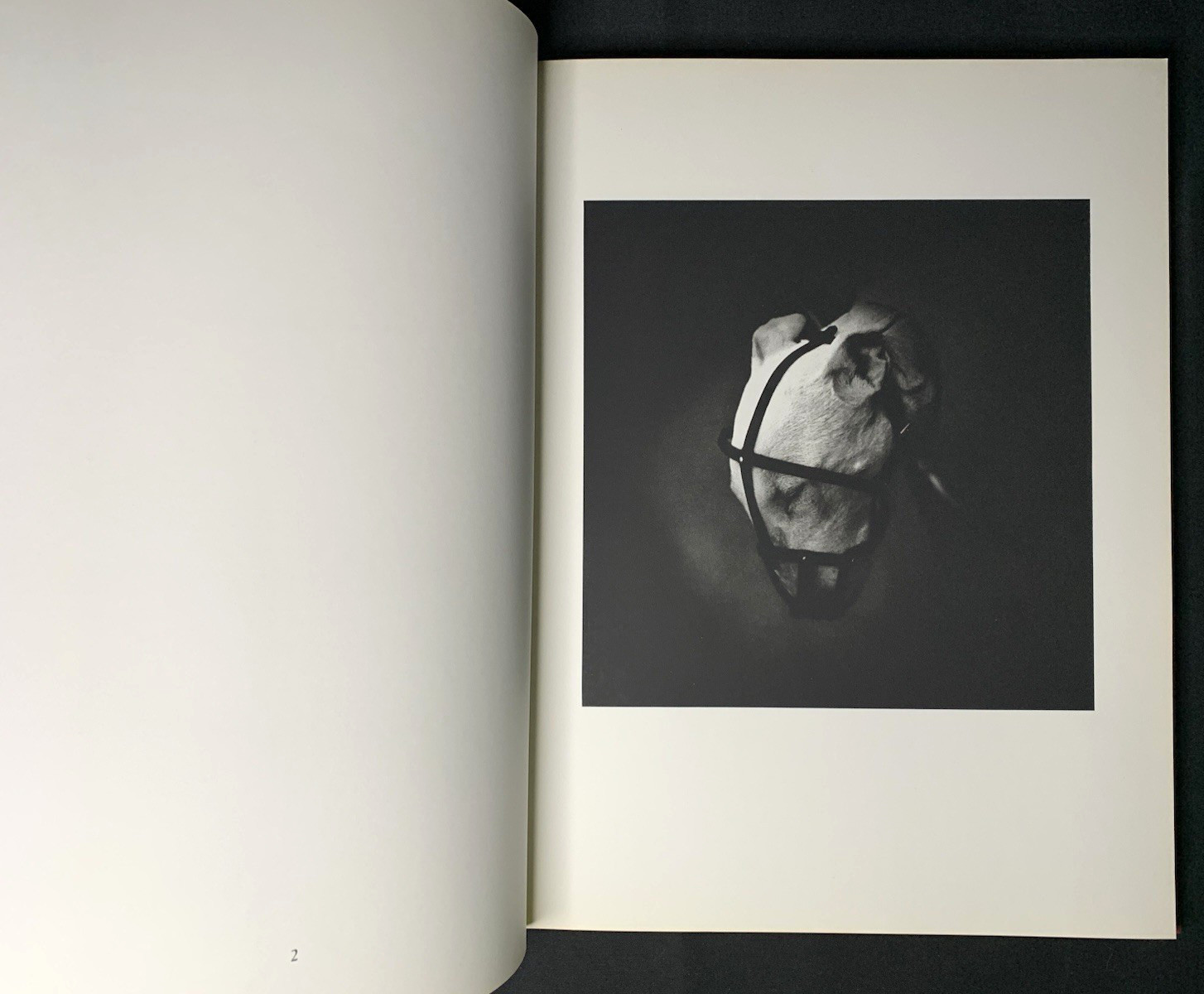 Matt Mahurin SIGNED 1989 Photography 1st Ed Dark Surrealism Nirvana Twelvetrees