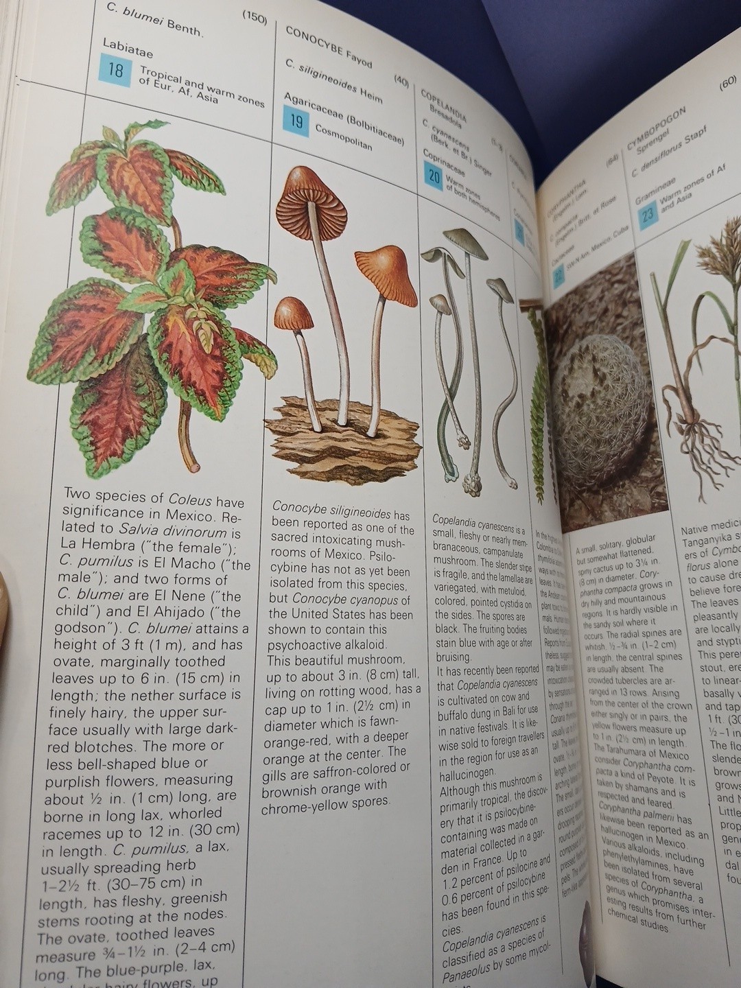 Plants of the Gods Origins of Hallucinogenic Use Schultes Evans Hoffman 1979