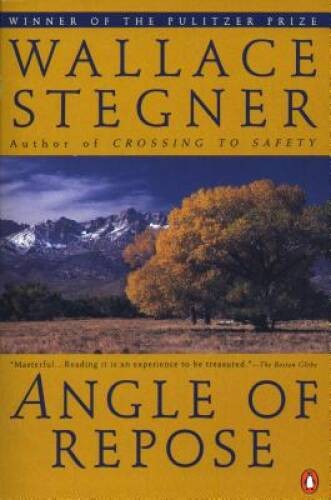 Angle of Repose (Contemporary American Fiction) – Paperback – VERY GOOD