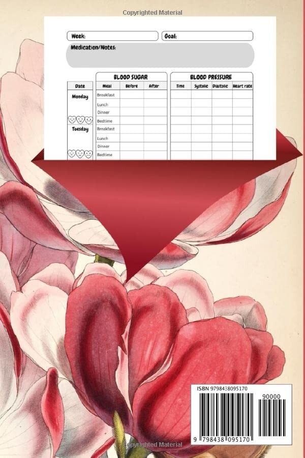 Blood Sugar & Pressure Log Book 2 Years Glucose and Blood Pressure Record Boo…