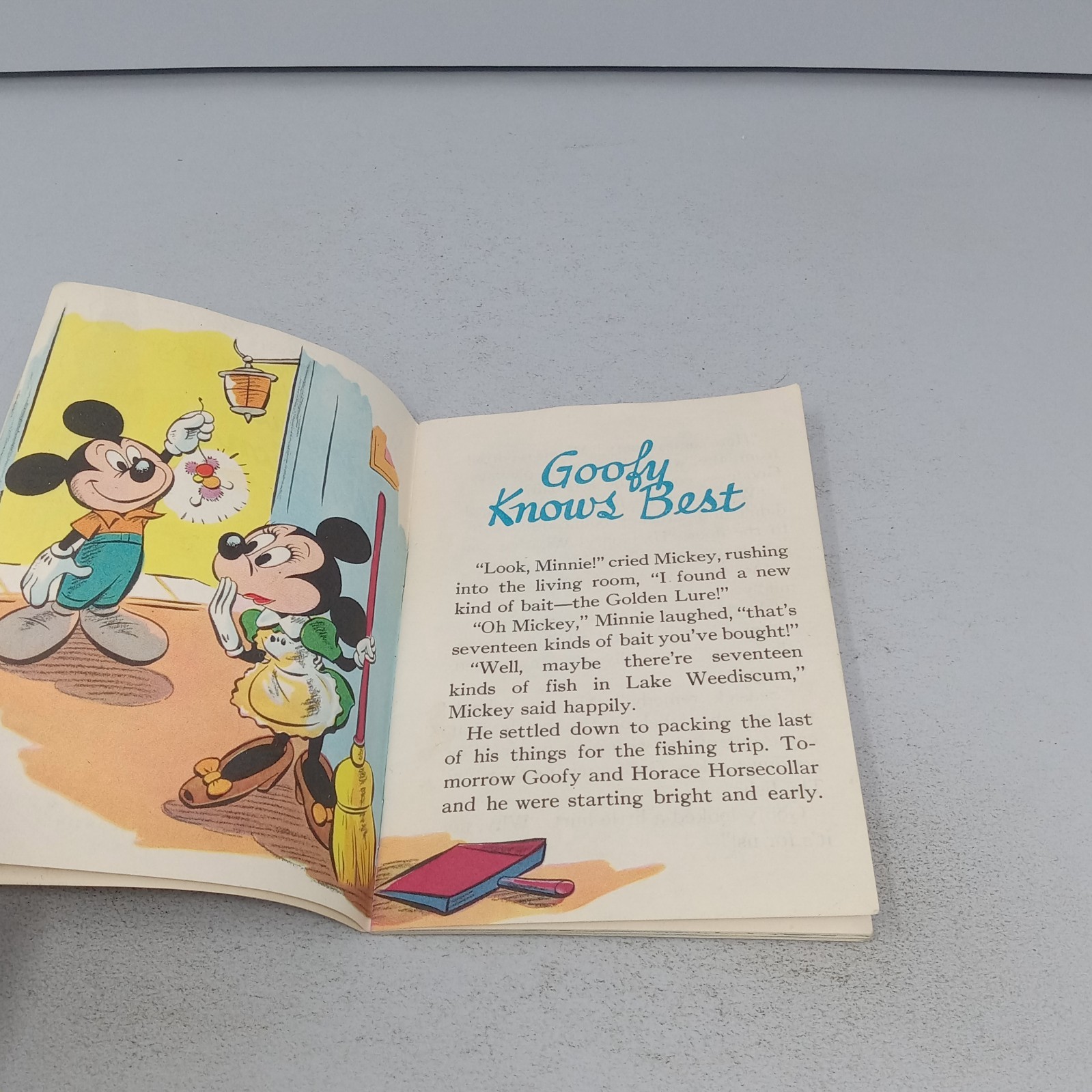 Walt Disney’s Mickey Mouse’s Summer Vacation 1948 Whitman Publishing Company PB